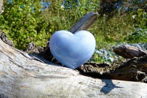 Heart